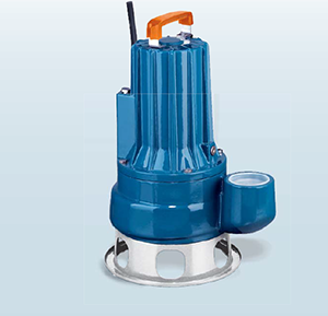 Bomba de agua sumergible Pedrollo
